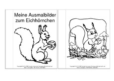 Mini-Buch-Ausmalbilder-Eichhörnchen-1.pdf